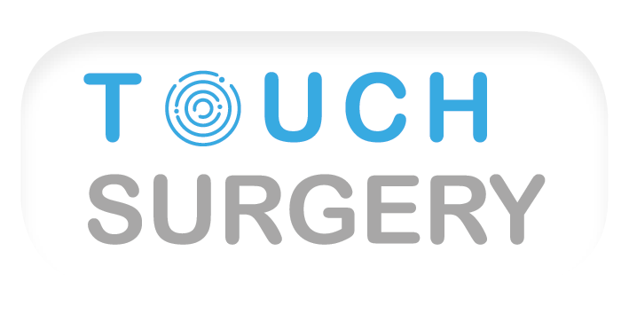 touch-sergery